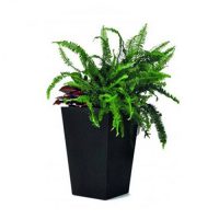 Ghiveci de flori Curver